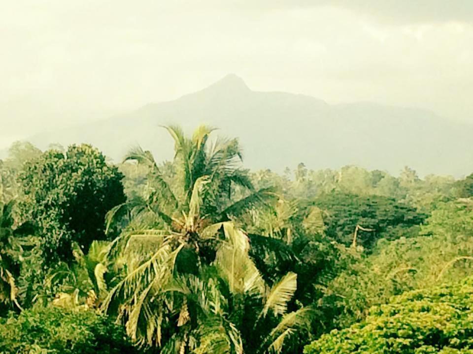 Sura Homestay Kandy Extérieur photo